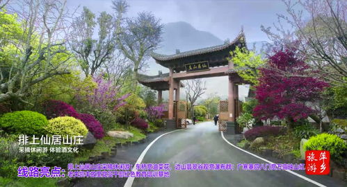 2020年萍乡市乡村旅游精品线路发布