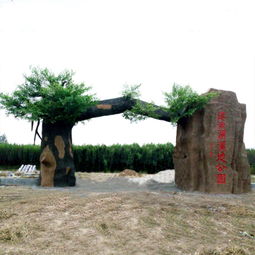 濮阳假山大门,假山大门图片