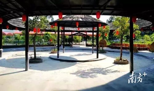 连平生态园种植基地巡礼②麒麟山生态园种出农旅融合好 丰 景