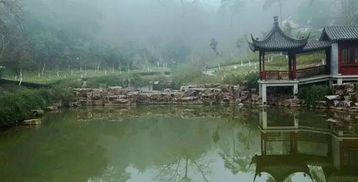八条旅游精品线路 带你漫步林间溪水