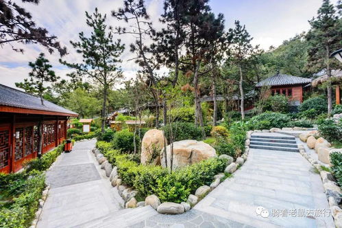 探索山西晋中的云泉谷景区,天然氧吧与刺激体验