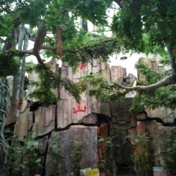 御景生态园酒店电话,地址,营业时间 泰安美食