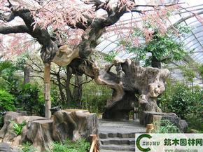 生态园假树 co土木在线