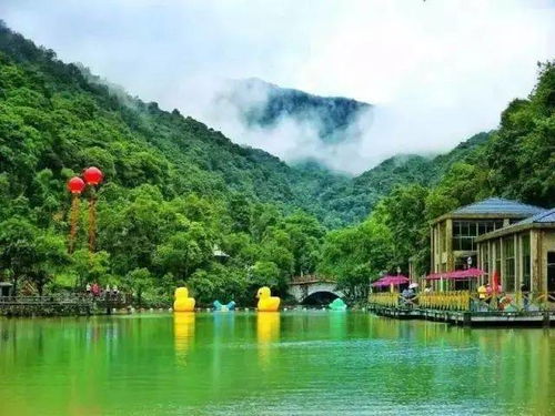 快看 博罗这些地方入选惠州市第二批乡村旅游精品线路