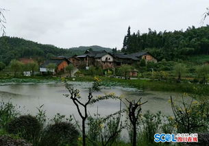 泸州打造全国一流现代竹精品产业科技生态园区