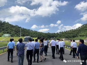深圳要建三大垃圾焚烧厂 日焚垃圾8000吨