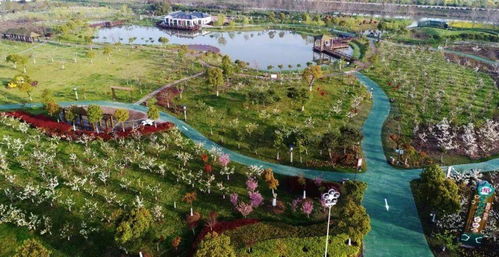 苏心游 最盐城丨全省推介 盐城这4条旅游线路入选江苏省乡村旅游精品线路