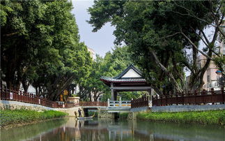 品一番 古梅乡韵 ,感受现代化的田园诗意