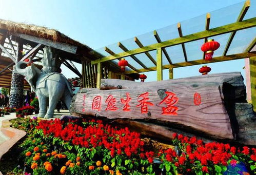 佛山团建公司 户外定向探索盈香生态园