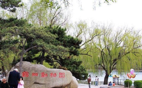 锦州动物园即将搬迁至三角山生态园内,已经开始工程设计招标