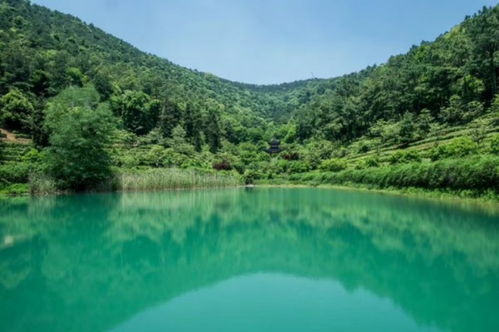 pick王菊 不如pick旺山