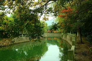 苏州避暑秘境｜九龙潭生态园 炎夏26℃的清凉天堂，一般人我不告诉TA