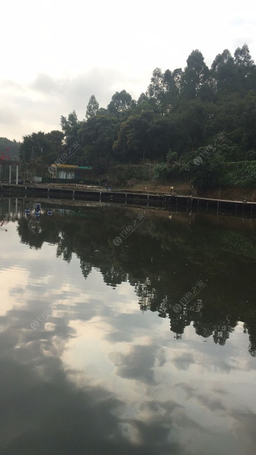 探访平湖生态园与九龙潭生态园 城市绿肺的生态魅力