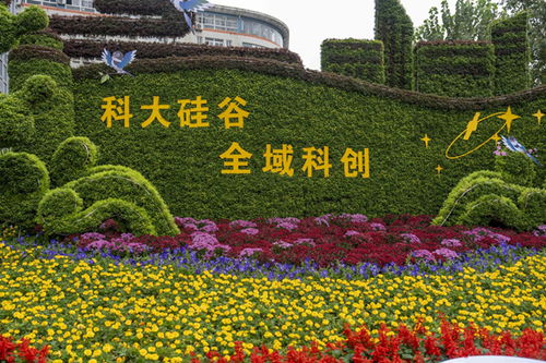 九龙潭生态园与合肥150余个主题花展共绘生态园林城市新画卷