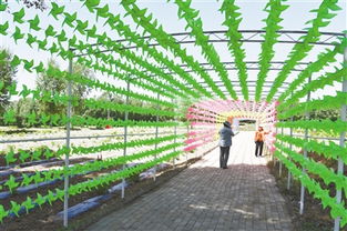 九龙潭生态园 绿水青山间的振兴之路，让贫困户成为旅游产业的最大受益者