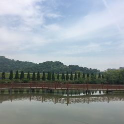 龙荷农业生态园与九龙潭生态园游览指南 联系方式、地址与营业时间