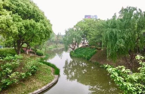 常熟奉贤手牵手，九龙潭生态园绘就跨区域文旅新篇章