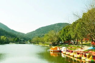 孝昌松花生态园与九龙潭生态园特产导览